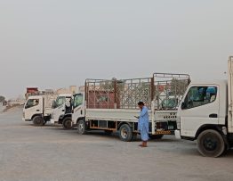 Sajaa Truck for Rent Pickup Rent service in Sajaa
