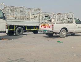 Pickup Truck Service in Sajaa