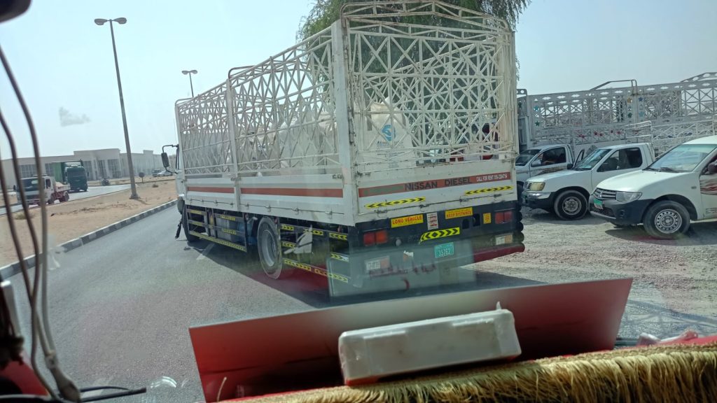 pickup rent service in sajaa