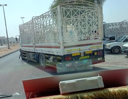 pickup rent service in sajaa