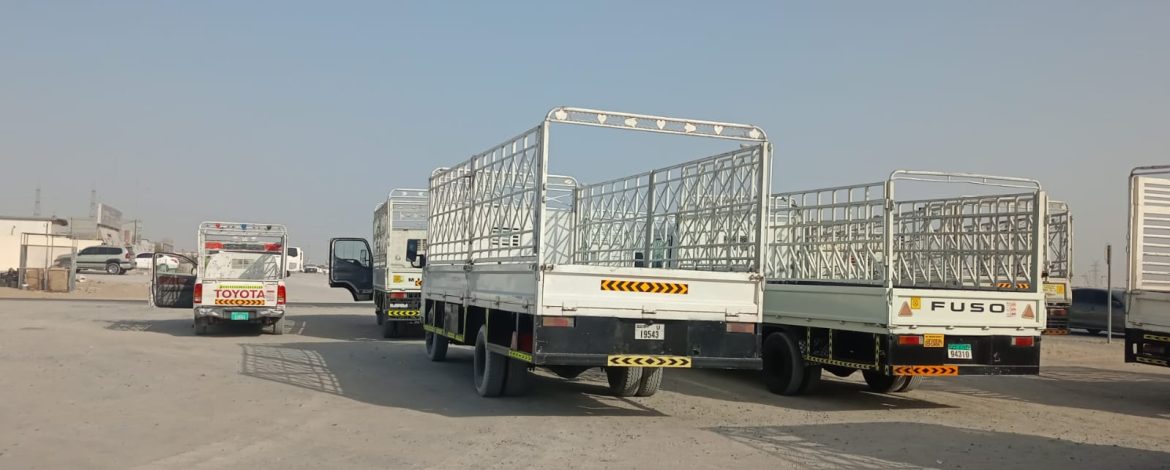 Pickup Truck for Rent sajaa