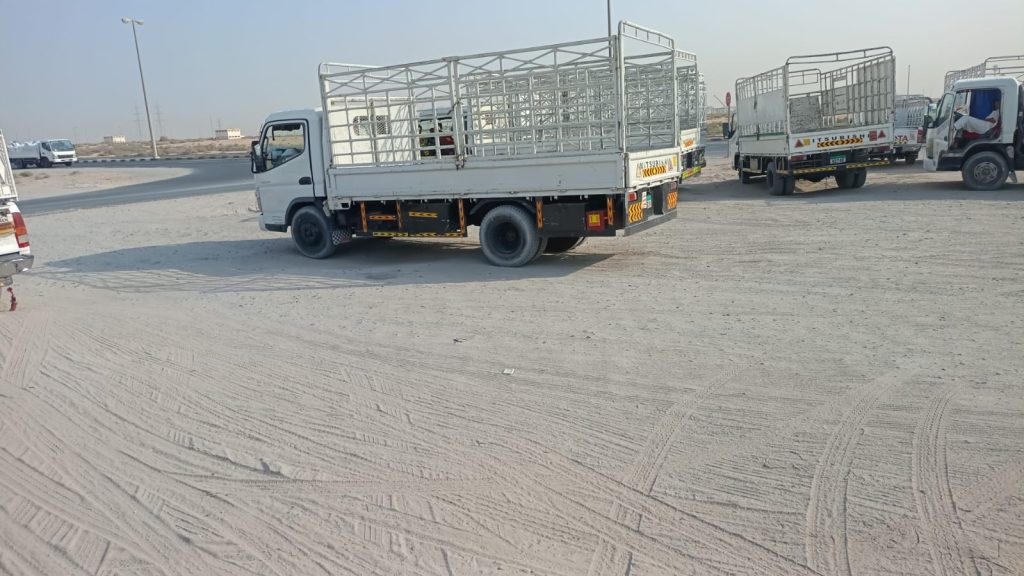 Pickup Truck in Sajaa