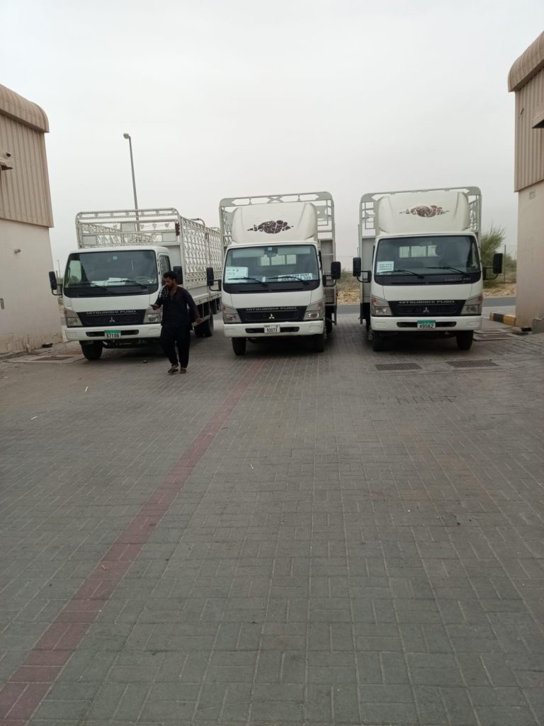 Pickup for Rent Sharjah 3 Ton Pickup Rental in Sharjah